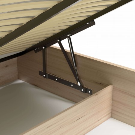 C16_mech_HiRes (1).jpg